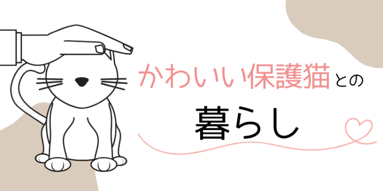 cook 今日なに作ろ？